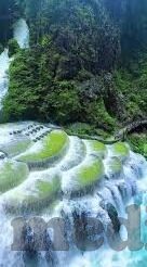 大象传媒回家在线观看-探索大象传媒的回家之旅，在线观影的温馨体验