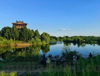 果冻传媒在线播放 免费观看-探索果冻传媒在线播放的免费观影新体验