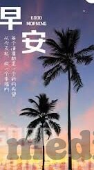 麻豆 91精品-揭露网络背后荒诞，麻豆91与成人内容的庞然深渊