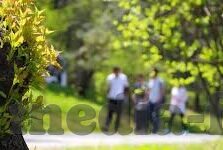 麻豆传媒视频在线播放-麻豆传媒，数字娱乐的另一面
