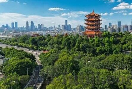 麻豆传媒在线app-探寻网络文化的双刃剑，麻豆传媒在线App的利弊分析