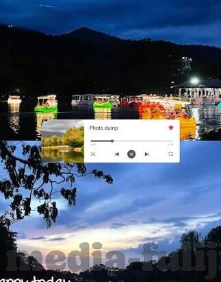 麻豆免费视频大全-麻豆免费视频大全，洞见网络文化的新视窗