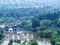 日韩av免费无码一区-日韩AV免费无码一区，网络文化与隐私边界的微妙探讨