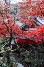 糖心app下载安卓版旧版-糖心app下载版初体验，怀旧与创新并存的安卓旧版探索